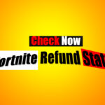 Fortnite Refund Status