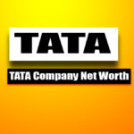 tata company net worth