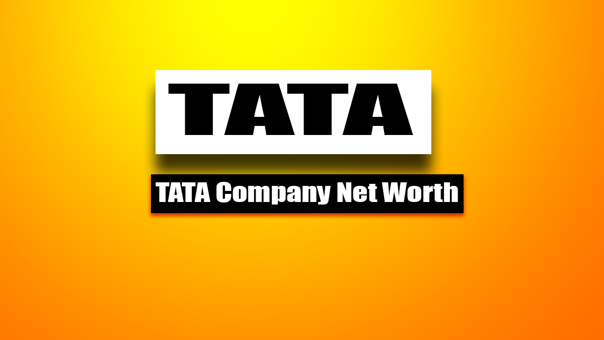 tata company net worth