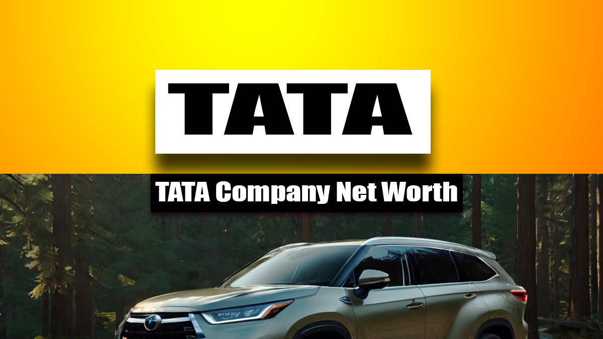 tata company net worth
