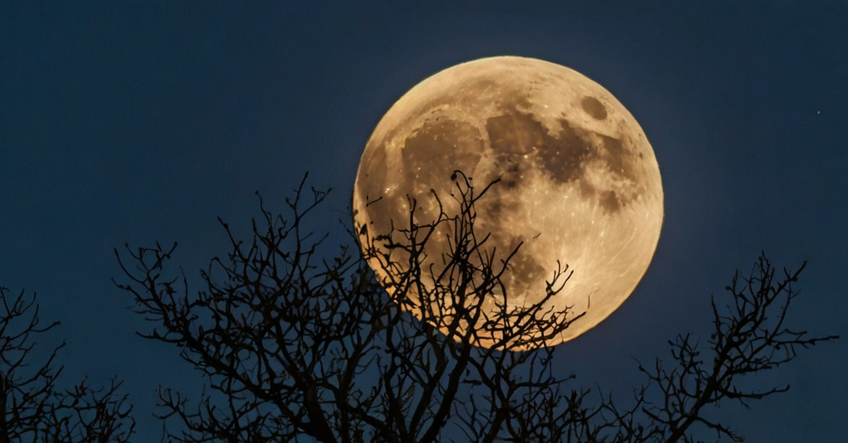 full moon tonight buck moon
